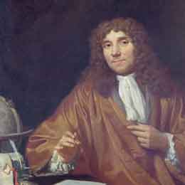 Antoni van Levenquk (1632-1723)