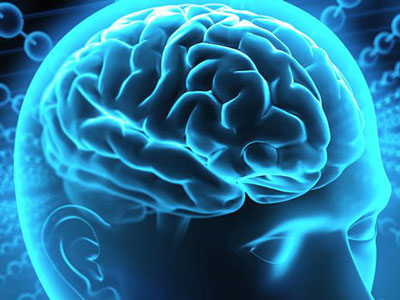 İnsan beyninin sirləri: Beyinin müdafiə funksiyaları