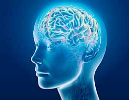 İnsan beyninin sirləri: Beyinin müdafiə funksiyaları